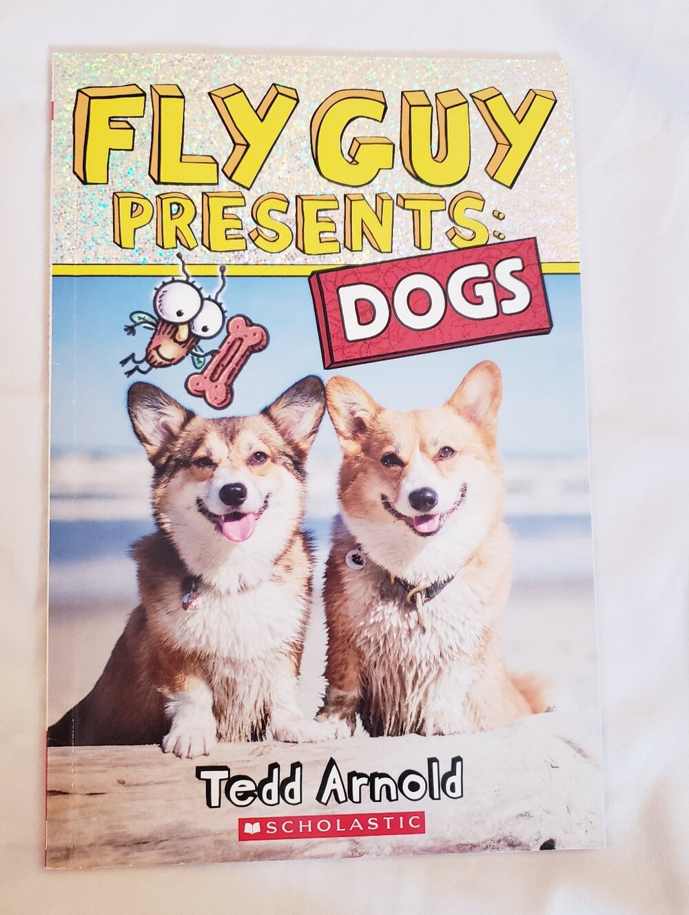 Scholastic Fly Guy Presents: Dogs - Yellow, Blue, Red Cover
